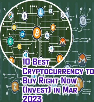Which cryptocurrency is best